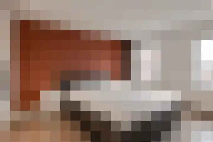 Ursulastraat 1 Harreveld thumbnail 25