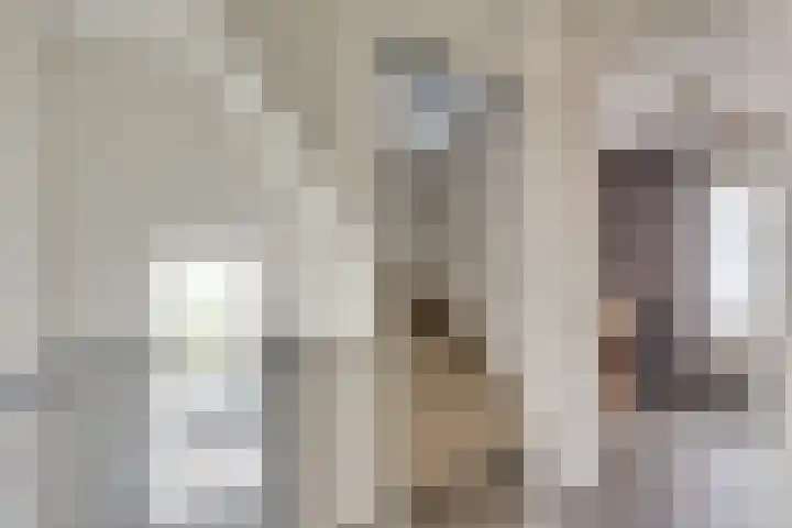 Ursulastraat 1 Harreveld thumbnail 31