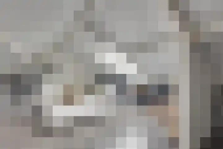 Ursulastraat 1 Harreveld thumbnail 38