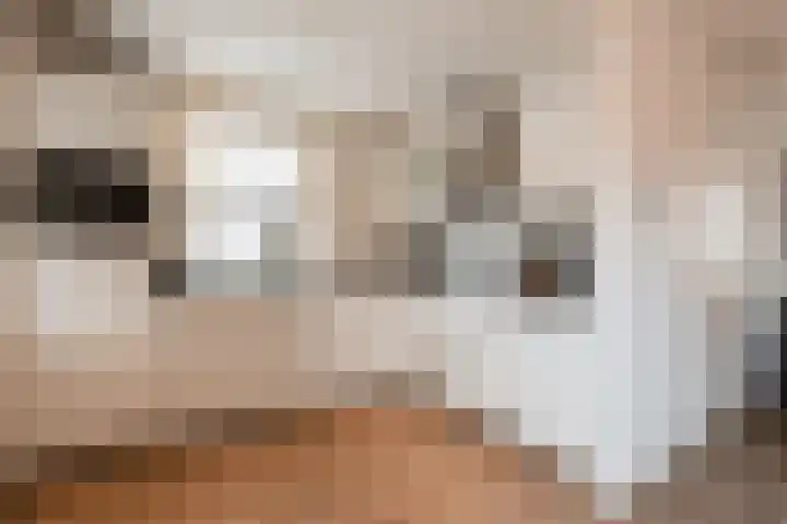 Ursulastraat 1 Harreveld thumbnail 4