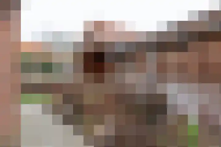 Ursulastraat 1 Harreveld thumbnail 44