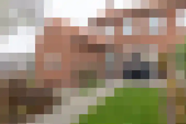 Ursulastraat 1 Harreveld thumbnail 5