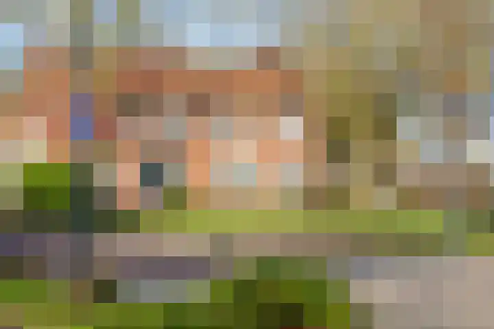 Ursulastraat 1 Harreveld thumbnail 6