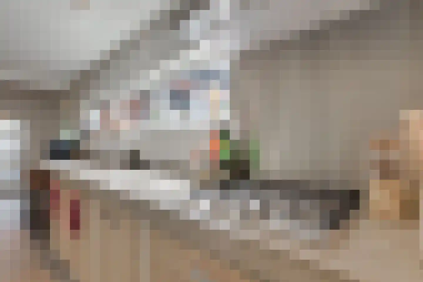 Ursulastraat 5 Harreveld thumbnail 27