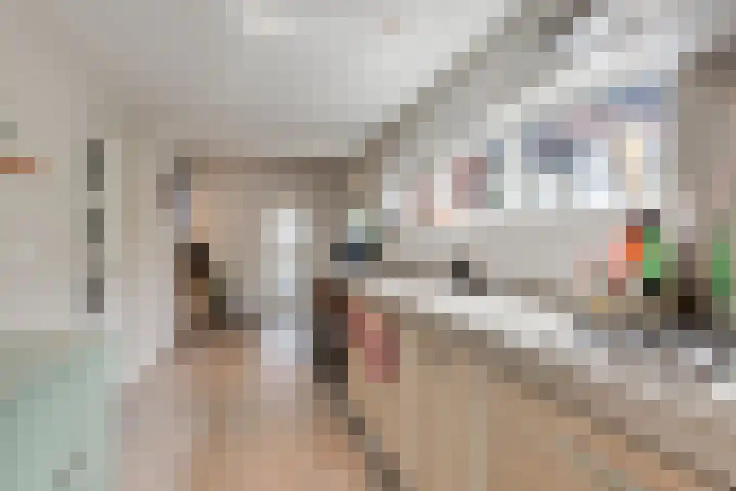 Ursulastraat 5 Harreveld thumbnail 29