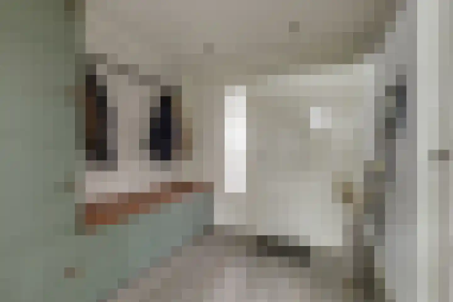 Ursulastraat 5 Harreveld thumbnail 31