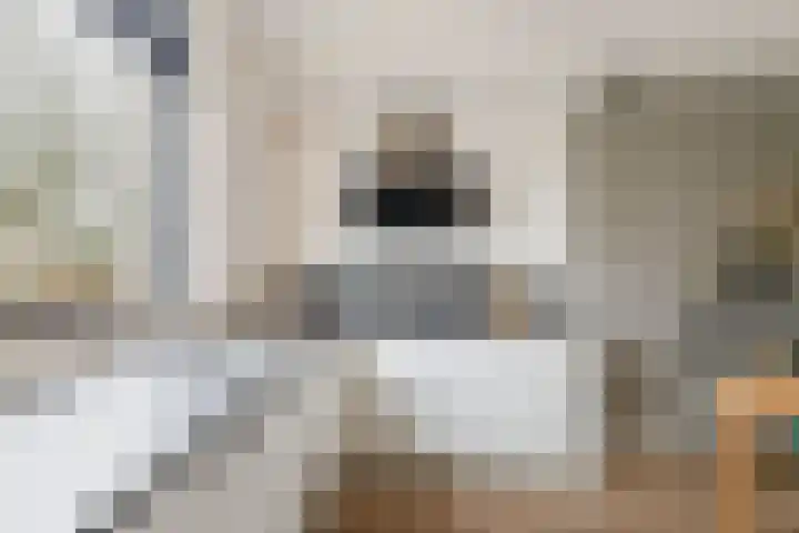 Ursulinenhof 34 Vianen thumbnail 12