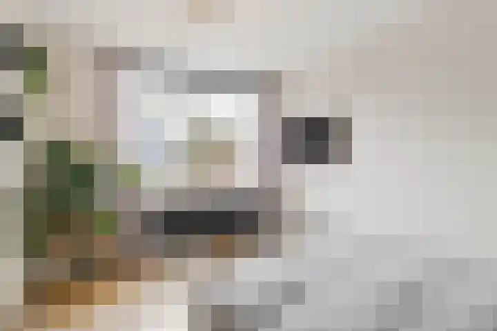 Ursulinenhof 34 Vianen thumbnail 17