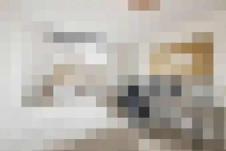 Ursulinenhof 34 Vianen thumbnail 20