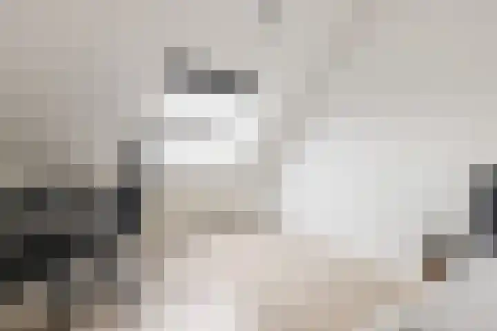 Ursulinenhof 34 Vianen thumbnail 28