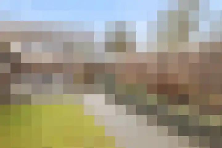 Ursulinenhof 34 Vianen thumbnail 31