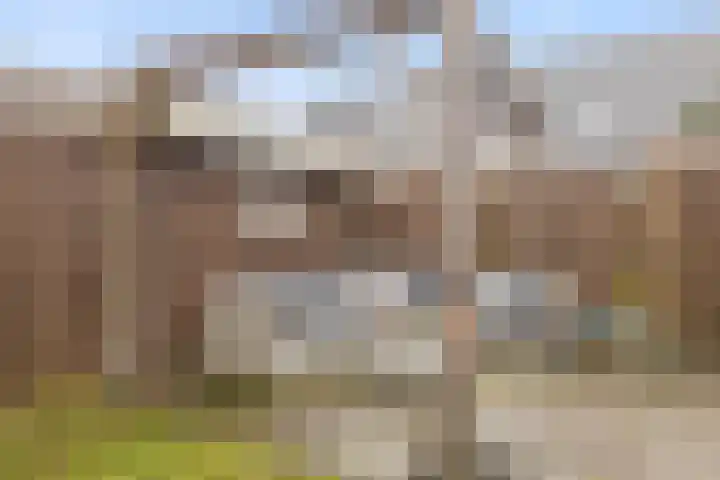 Ursulinenhof 34 Vianen thumbnail 33