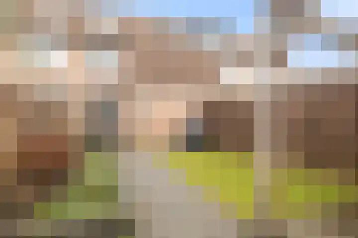 Ursulinenhof 34 Vianen thumbnail 36