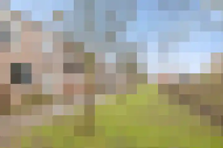 Ursulinenhof 34 Vianen thumbnail 37