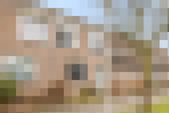 Ursulinenhof 34 Vianen thumbnail 5