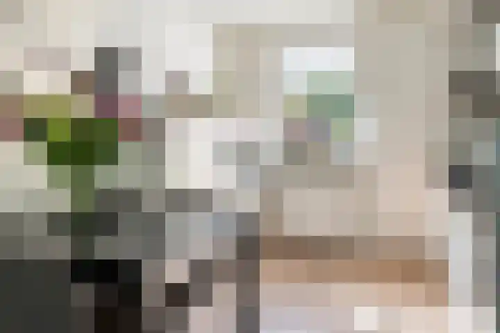 Ursulinenhof 52 Vianen thumbnail 14