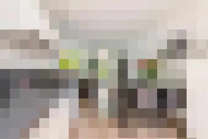 Ursulinenhof 52 Vianen thumbnail 15