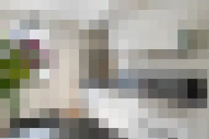 Ursulinenhof 52 Vianen thumbnail 16