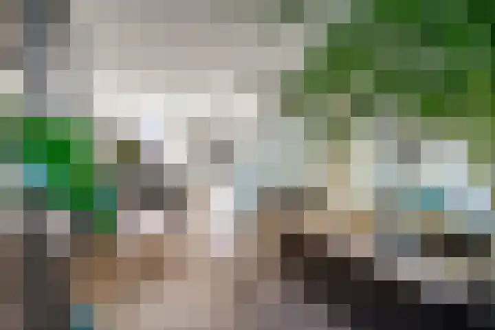 Ursulinenhof 52 Vianen thumbnail 20