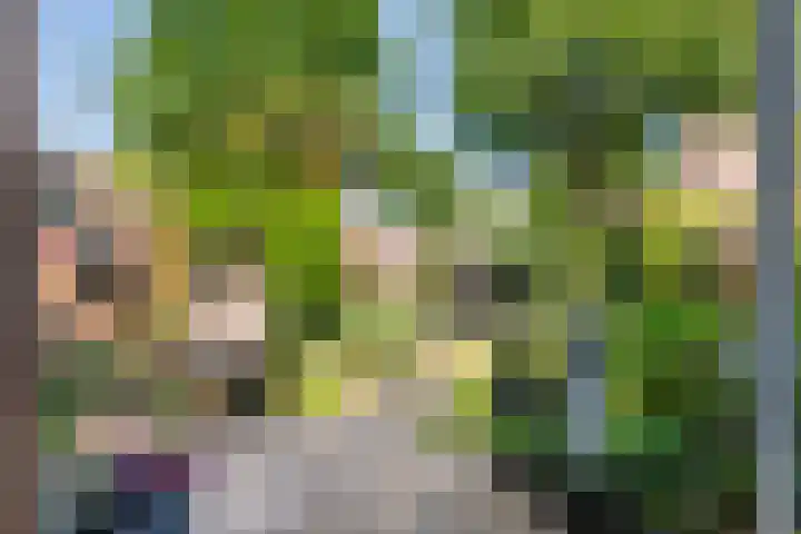 Ursulinenhof 52 Vianen thumbnail 21