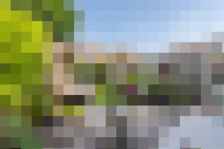 Ursulinenhof 52 Vianen thumbnail 22