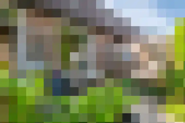 Ursulinenhof 52 Vianen thumbnail 23
