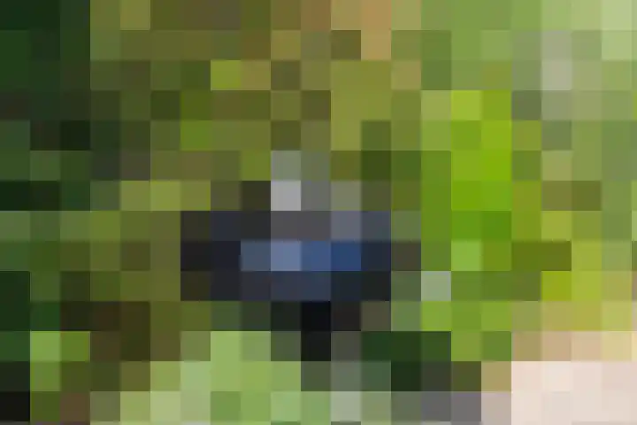 Ursulinenhof 52 Vianen thumbnail 24