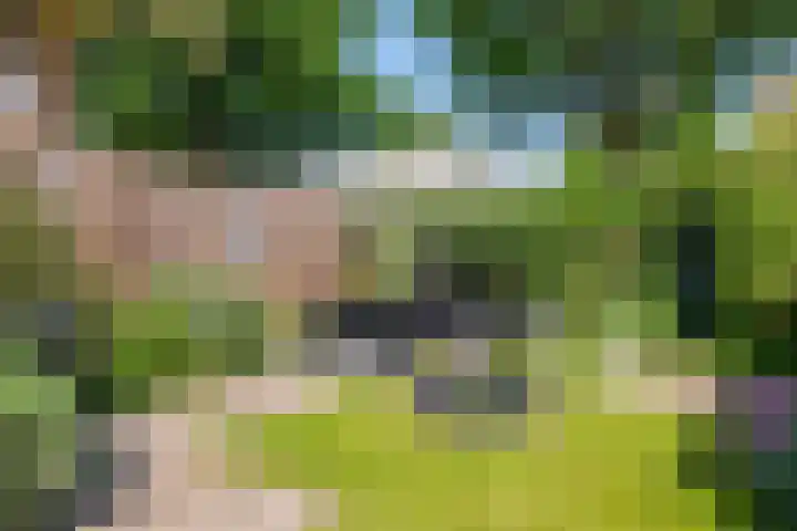 Ursulinenhof 52 Vianen thumbnail 25