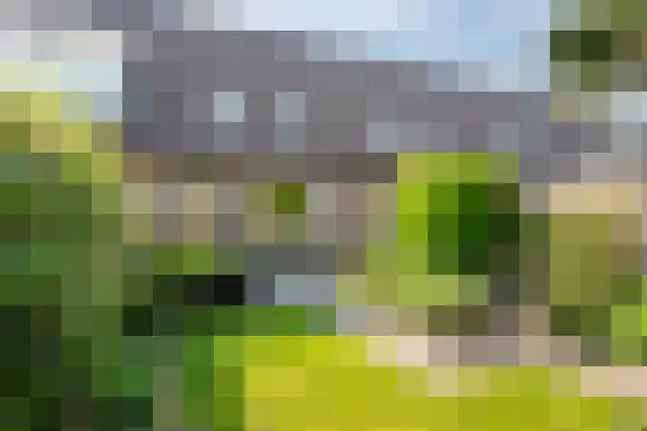 Ursulinenhof 52 Vianen thumbnail 26