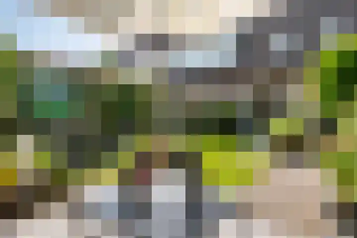 Ursulinenhof 52 Vianen thumbnail 28