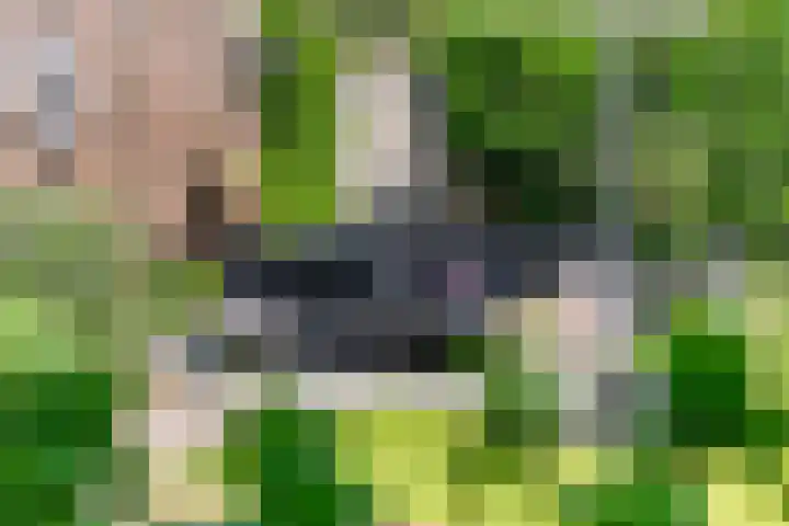 Ursulinenhof 52 Vianen thumbnail 29