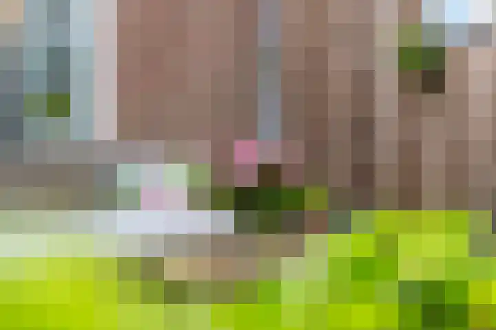 Ursulinenhof 52 Vianen thumbnail 31
