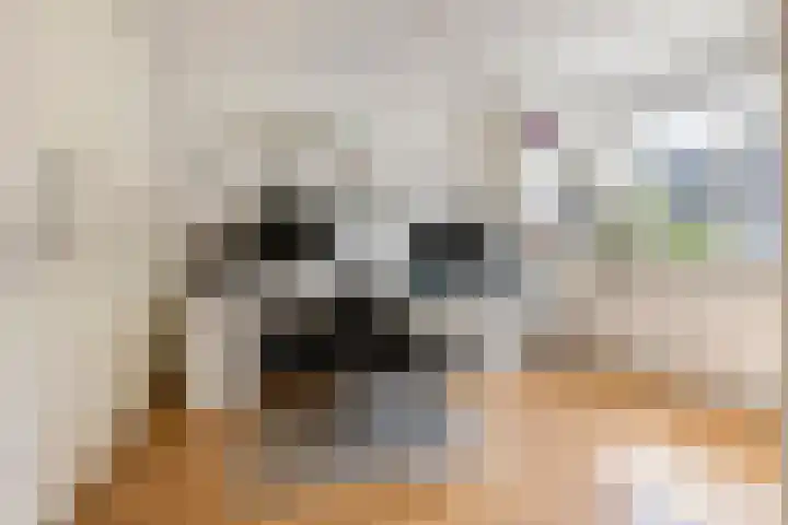 Ursulinenhof 52 Vianen thumbnail 35