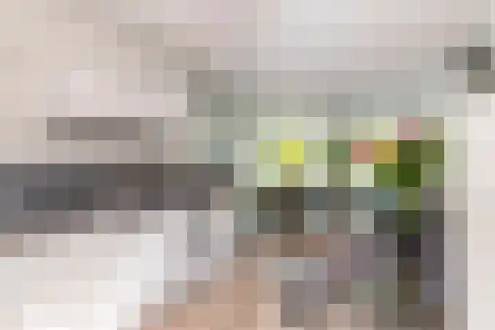 Ursulinenhof 52 Vianen thumbnail 4
