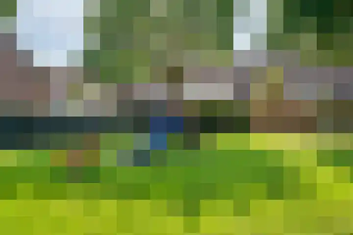 Ursulinenhof 52 Vianen thumbnail 46
