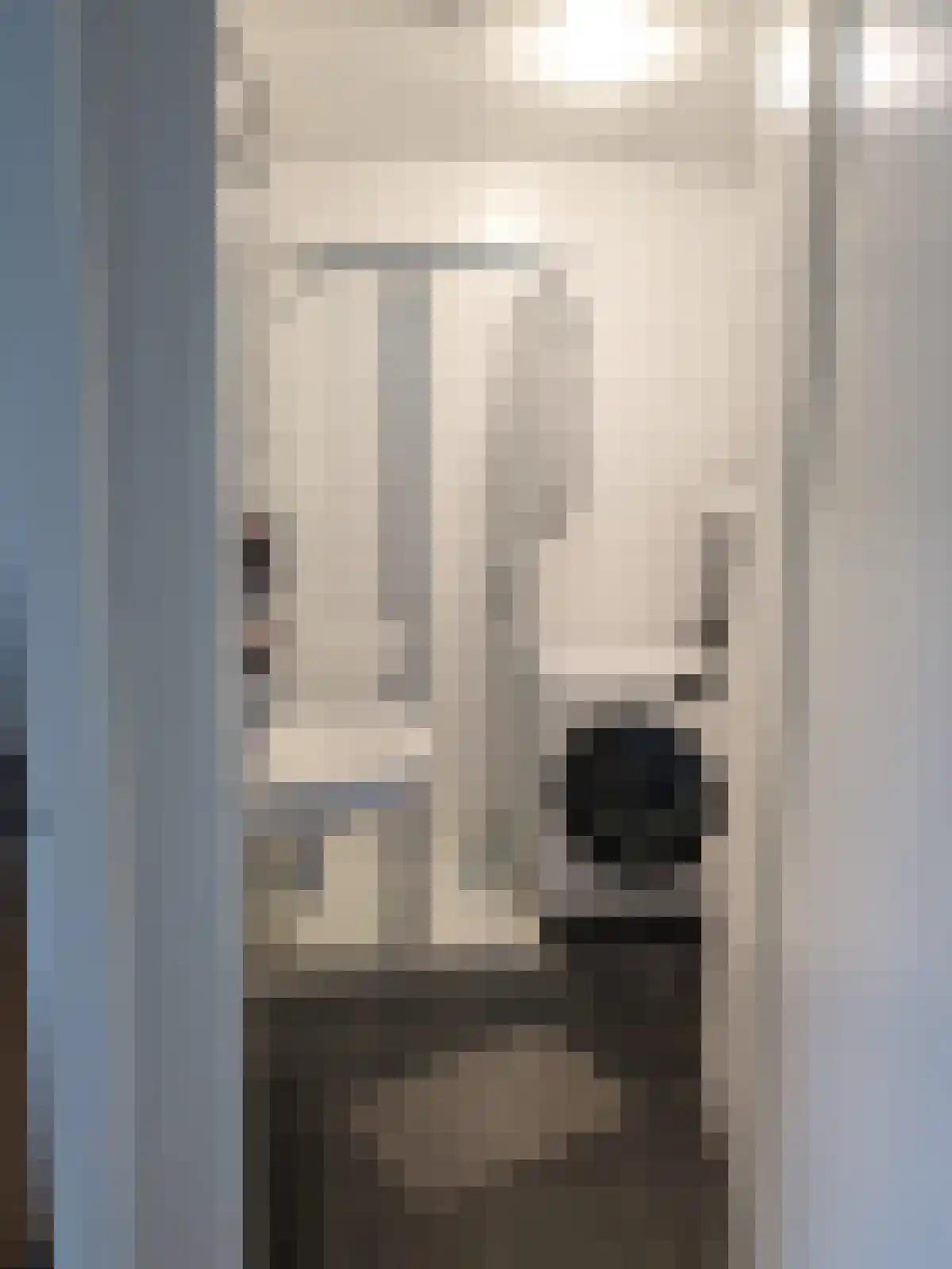 Ursulinenhof 9 Vianen thumbnail 6