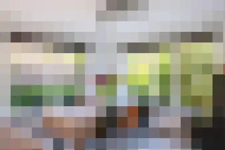 Ursulinenlaan 16 Bergen (NH) thumbnail 10