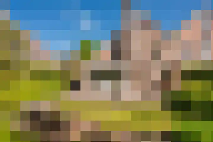 Ursulinenlaan 16 Bergen (NH) thumbnail 24