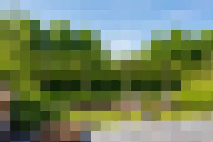 Ursulinenlaan 16 Bergen (NH) thumbnail 27