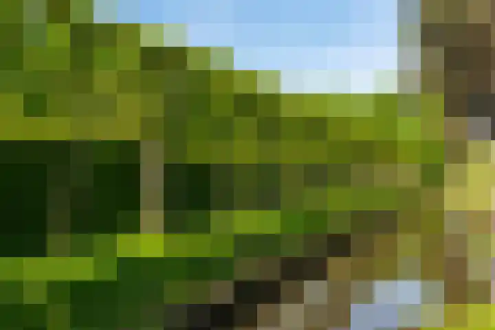 Ursulinenlaan 16 Bergen (NH) thumbnail 29