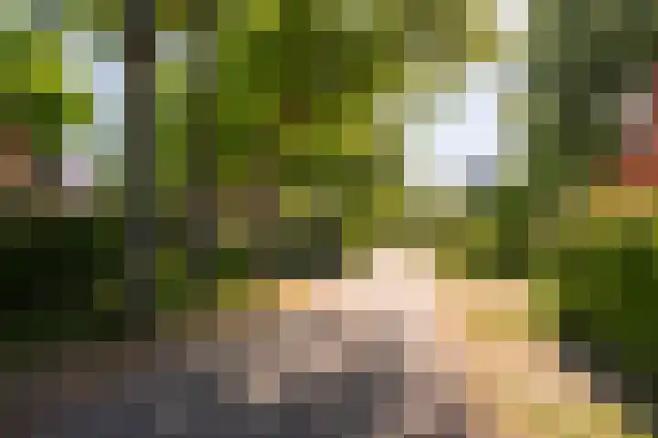 Ursulinenlaan 16 Bergen (NH) thumbnail 32