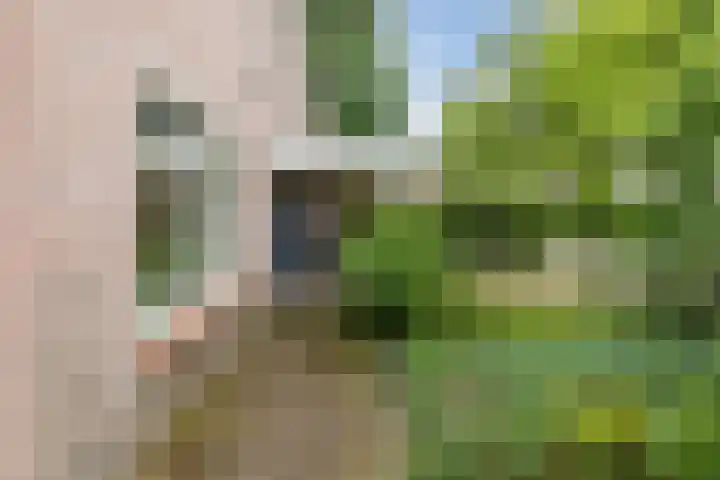Ursulinenlaan 24 Bergen (NH) thumbnail 12