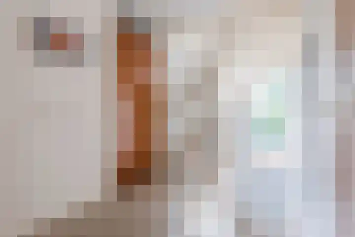 Ursulinenlaan 24 Bergen (NH) thumbnail 15