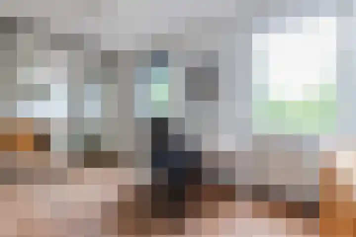 Ursulinenlaan 24 Bergen (NH) thumbnail 19