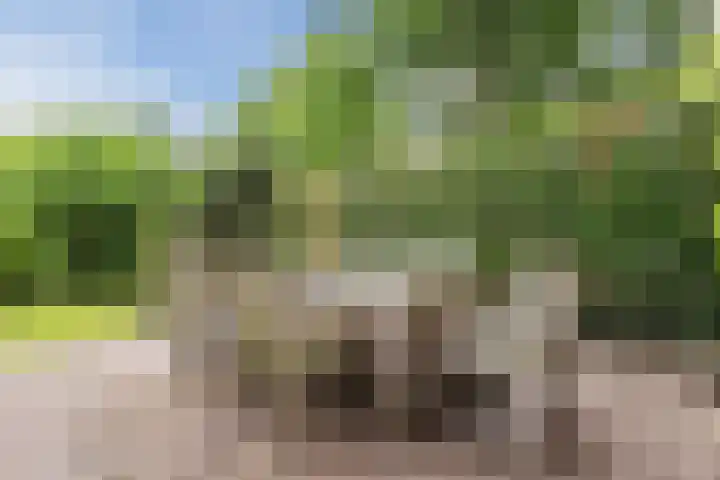 Ursulinenlaan 24 Bergen (NH) thumbnail 32