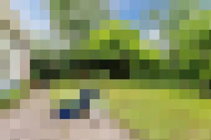Ursulinenlaan 24 Bergen (NH) thumbnail 33