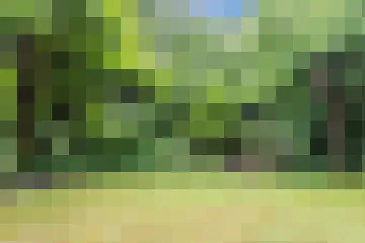 Ursulinenlaan 24 Bergen (NH) thumbnail 35