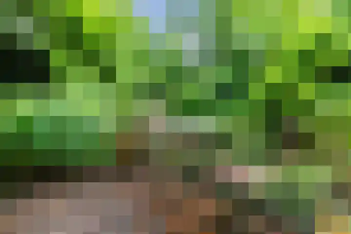 Ursulinenlaan 24 Bergen (NH) thumbnail 37