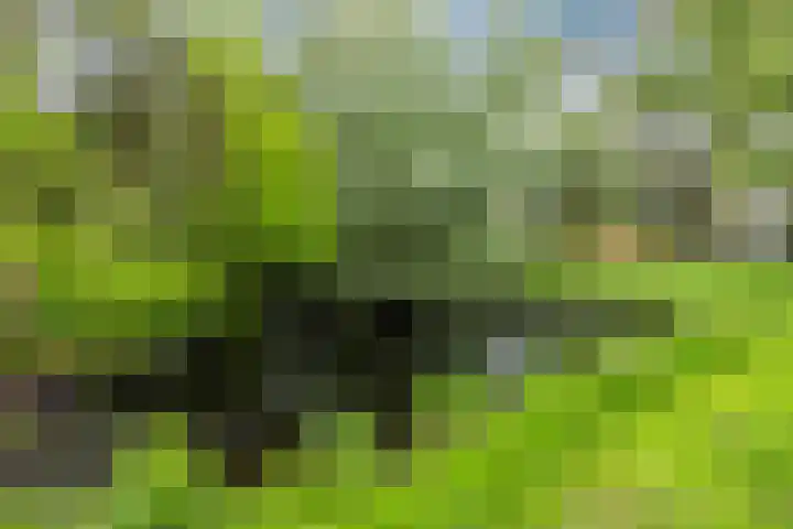 Ursulinenlaan 24 Bergen (NH) thumbnail 41