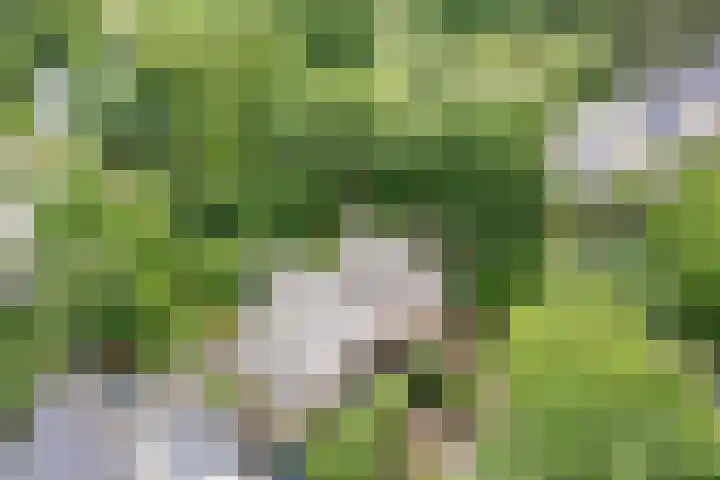 Ursulinenlaan 24 Bergen (NH) thumbnail 42